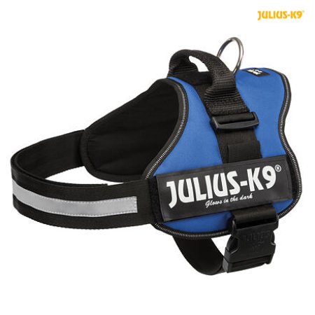 Julius-K9 silový postroj 3/XL 82-116 cm, - modrá