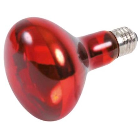 Trixia Infrared Heat Spot-Lamp red 100 W