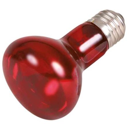 Trixia Infrared Heat Spot-Lamp red 50 W