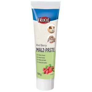 Trixie Pasta sladová Multifruit pre hlodavce 100 g