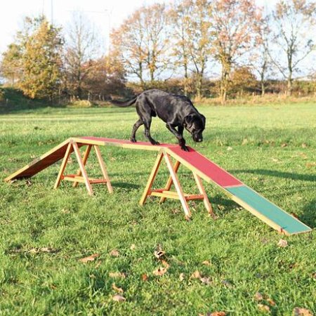 Trixie Dog Activity AGILITY nácviková lávka 456x64x30 cm