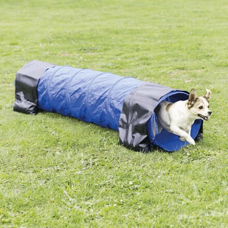 Agility tunel - malý pes, šteňa, 40cm/2m - modrý