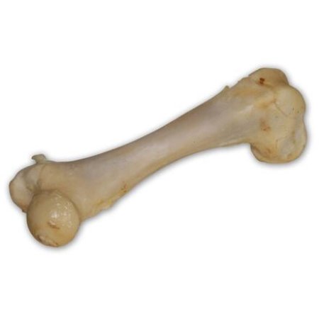 Bravčová kosť biela - extrudovaná 1 ks/17 cm