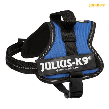 Julius-K9 hrubý postroj Mini-Mini/XS 40-53 cm/22 mm - modrá