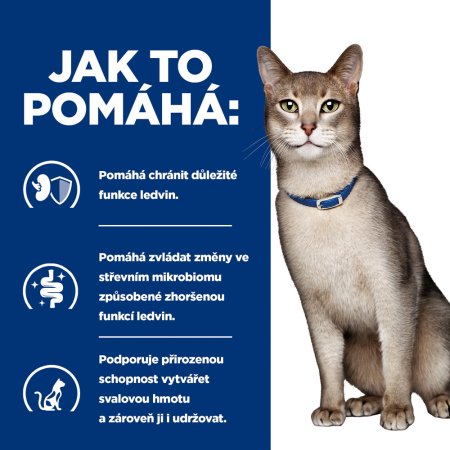 Hill’s Prescription Diet k/d Stew Starostlivosť o obličky konzerva pre mačky 82 g