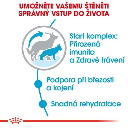 Royal Canin Maxi Starter 15 kg