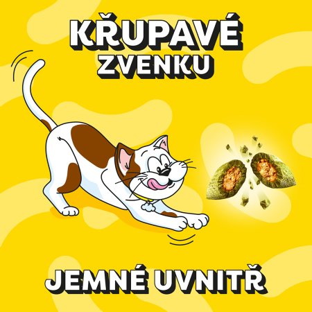 Dreamies pochúťka Catnip 60 g