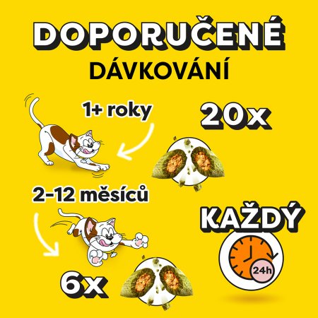 Dreamies pochúťka Catnip 60 g