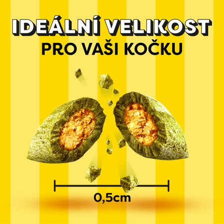 Dreamies pochúťka Catnip 60 g