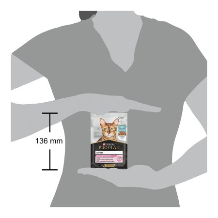 Pro Plan Kitten Healthy Start kurá v paštéte 24 × 85 g