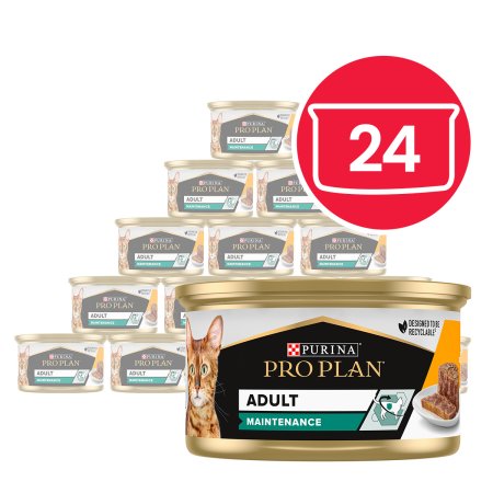 Pro Plan Cat Maintenance kura v paštéte 24 × 85 g