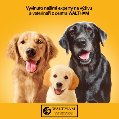 PEDIGREE konzerva s hovädzím v želé 1,2 kg