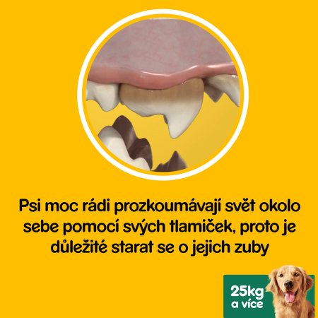 PEDIGREE pochúťka DentaStix Large 56pack 2160 g