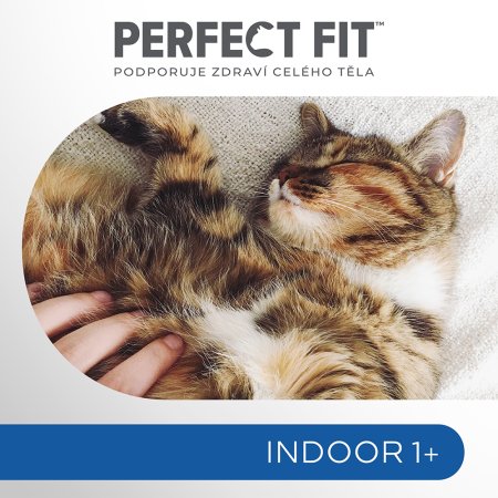 PERFECT FIT vrecko Indoor kura s hráškom 85 g