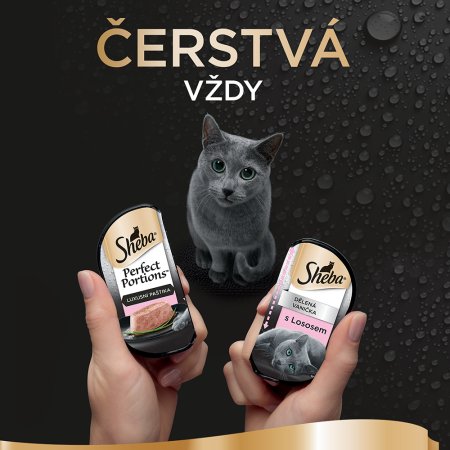 Sheba Perfect Portions s lososom 6 x 37,5 g