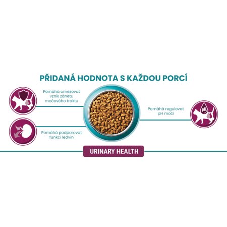 Purina One Bifensis Urinary Care s kuraťom a pšenicou 800 g