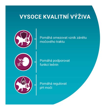 Purina One Bifensis Urinary Care s kuraťom a pšenicou 800 g