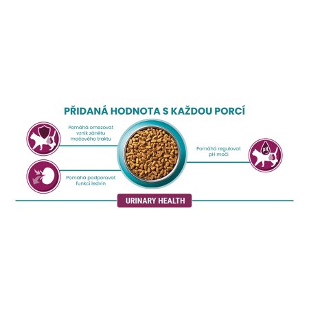 Purina One Bifensis Urinary Care s kuraťom a pšenicou 800 g