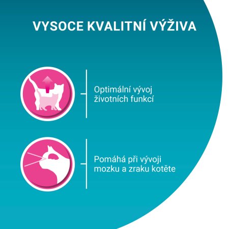 Purina One Multipack Junior minifiletky s lososom a mrkvou v šťave 4 x 85 g