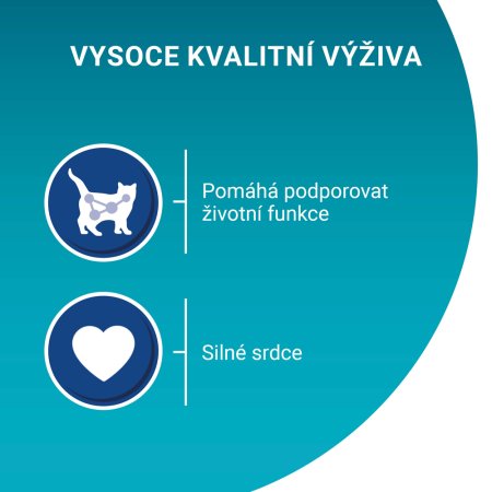Purina One Multipack Senior minifiletky hovädzie s mrkvou 4 x 85 g