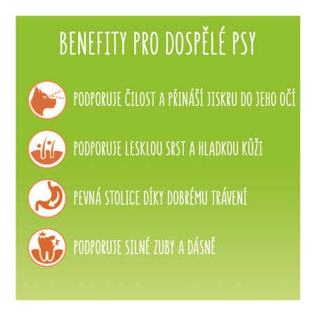 Friskies Balance s kuraťom a zeleninou 3 kg 