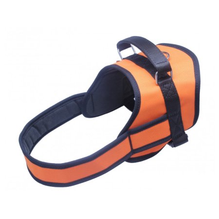 PROFIZOO Služobný postroj M popruh (OH 60 - 81 cm) oranžová