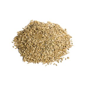 Avicentra Lesknice 25kg