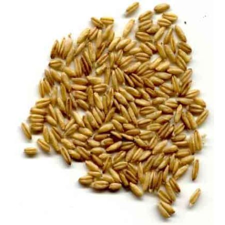 Avicentra Ovos nahý 25kg