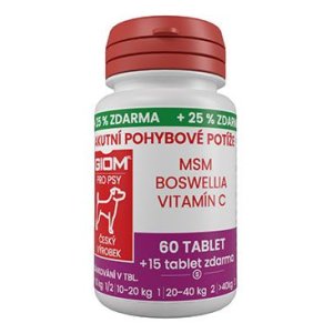 Giom S Akútne pohybové problémy 60 tbl. +25% zadarmo