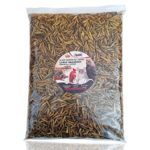 Apetít BLACK SOLDIER FLY LARVEA 500g