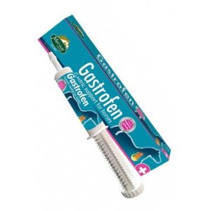 MERVUE GASTROFEN pasta 80 ml
