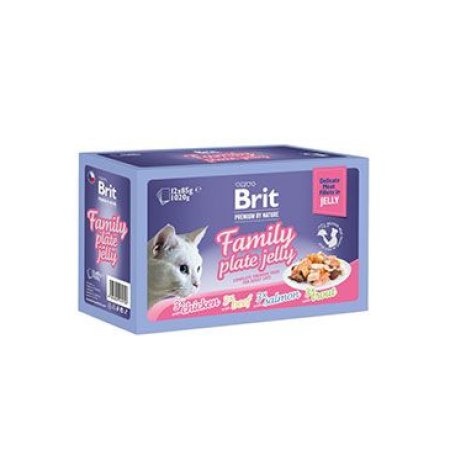 Brit Premium Cat D Filety v Jelly Family Plate 1020g