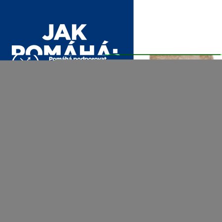 Hill’s Prescription Diet z/d Mini Alergia a starostlivosť o kožu 6 kg