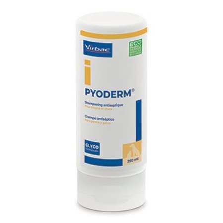 Pyoderm šampón 250ml