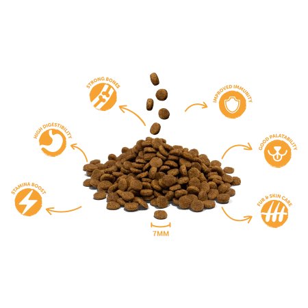 DIVINUS CAT Losos & ryža 30/12 18 kg