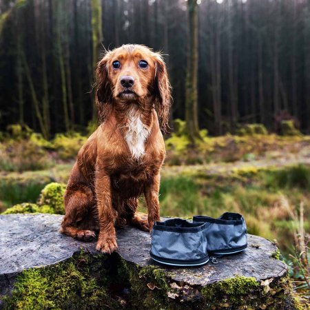 Henry Wag cestovná dvojmiska Snaffle