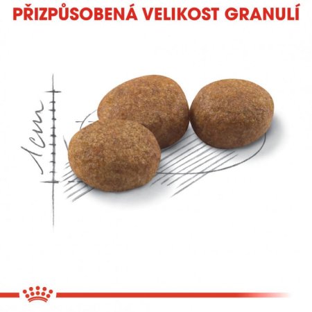 Royal Canin Sterilised 10 + 2 kg