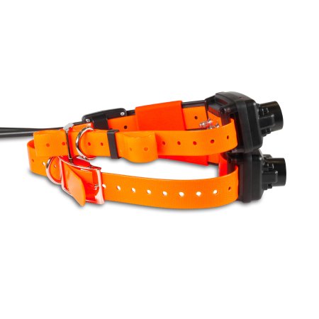 Dogtrace DOG GPS X25B Short