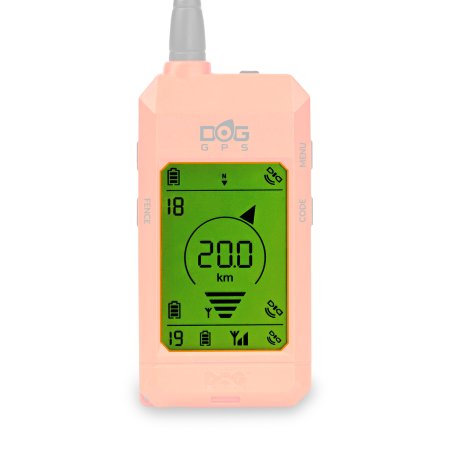 Dogtrace DOG GPS X25B Short