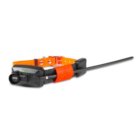 Dogtrace DOG GPS X25B Short