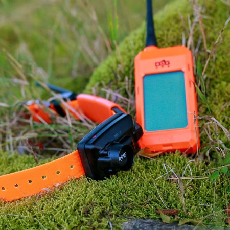 Dogtrace DOG GPS X25B Short