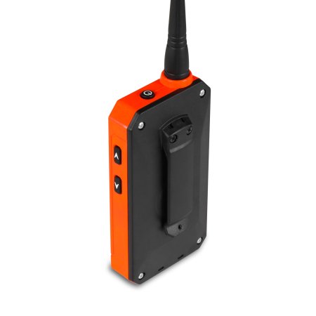 Dogtrace DOG GPS X25B Short