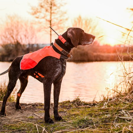 Dogtrace Obojek pre ďalšieho psa zelená DOG GPS X25