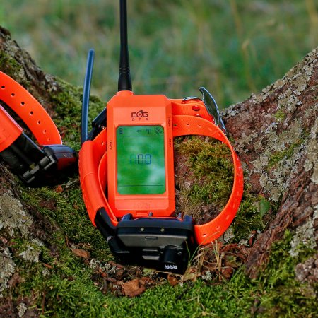 Dogtrace Obojek pre ďalšieho psa, zelená DOG GPS X25TB