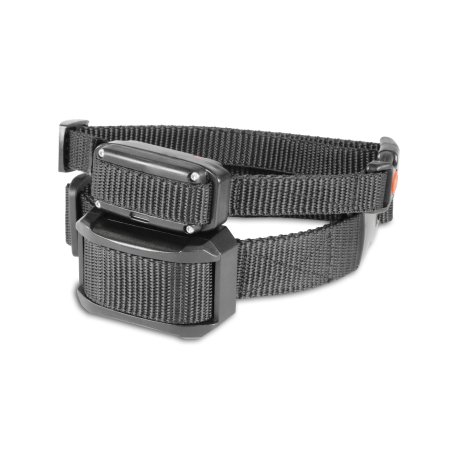 Dogtrácia Vysielač d-control set EDGE E250V