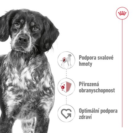 Royal Canin Medium Adult 15 + 3 kg
