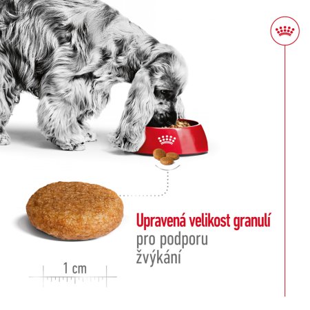 Royal Canin Medium Adult 15 + 3 kg