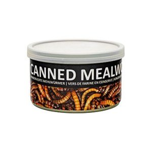 UGF múčny červ konzerva 35g