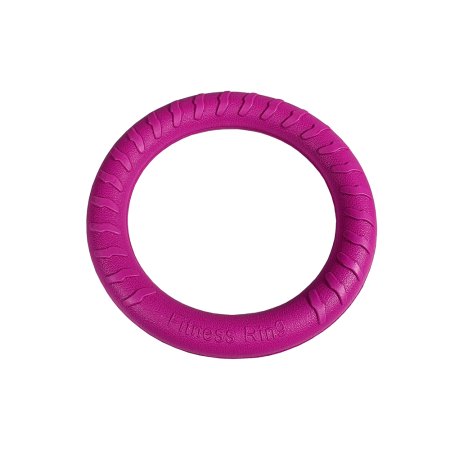 PROFIZOO Kruh FOAM malý (18 cm) fuchsie