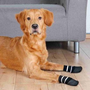 Protišmykové ponožky pre psov, 2 ks, bavlna/lycra, čierna, L-XL, zlatý retriever